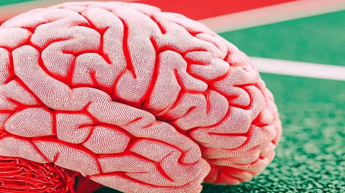 Neurocirurgia para Epilepsia