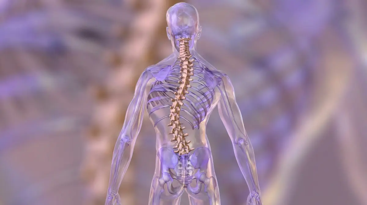 📏 Escoliose Degenerativa do Adulto