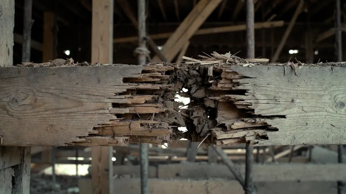 Osteossarcoma vertebral