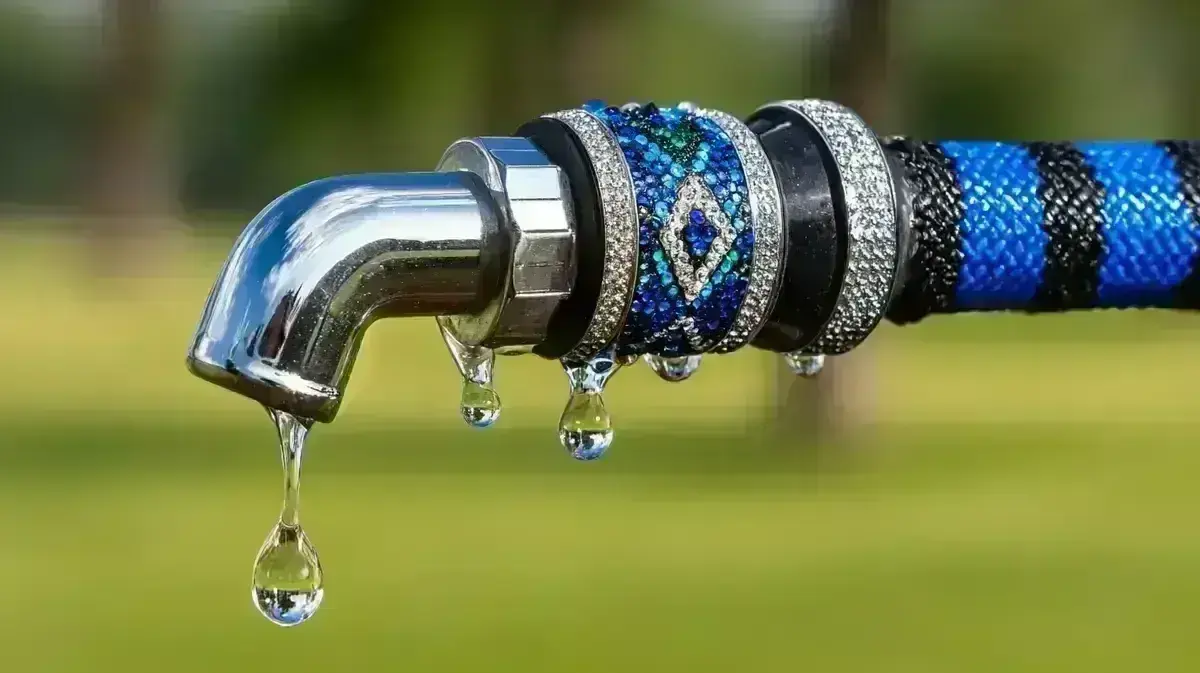 Estenose Grave da Artéria Vertebral