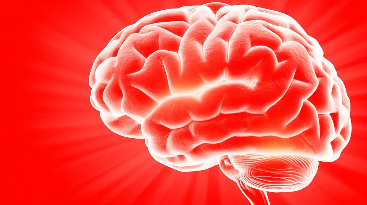 Vasculite Primária do Sistema Nervoso Central